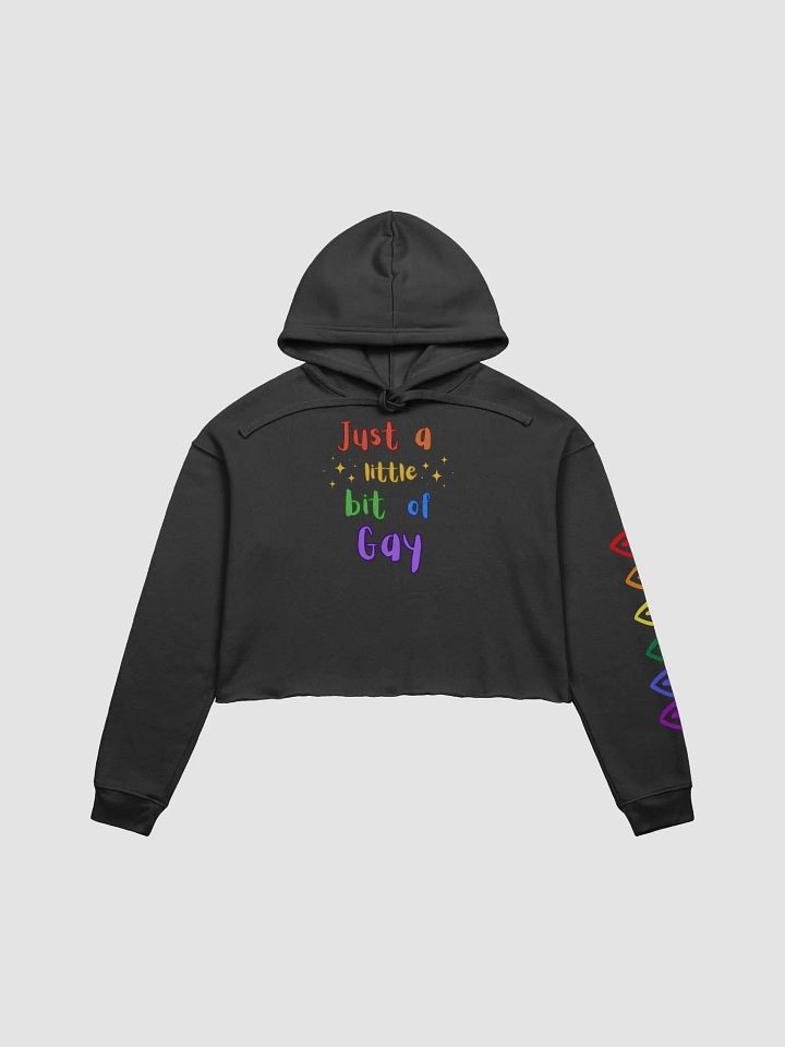 just a little gay crop hoodie product image (1)