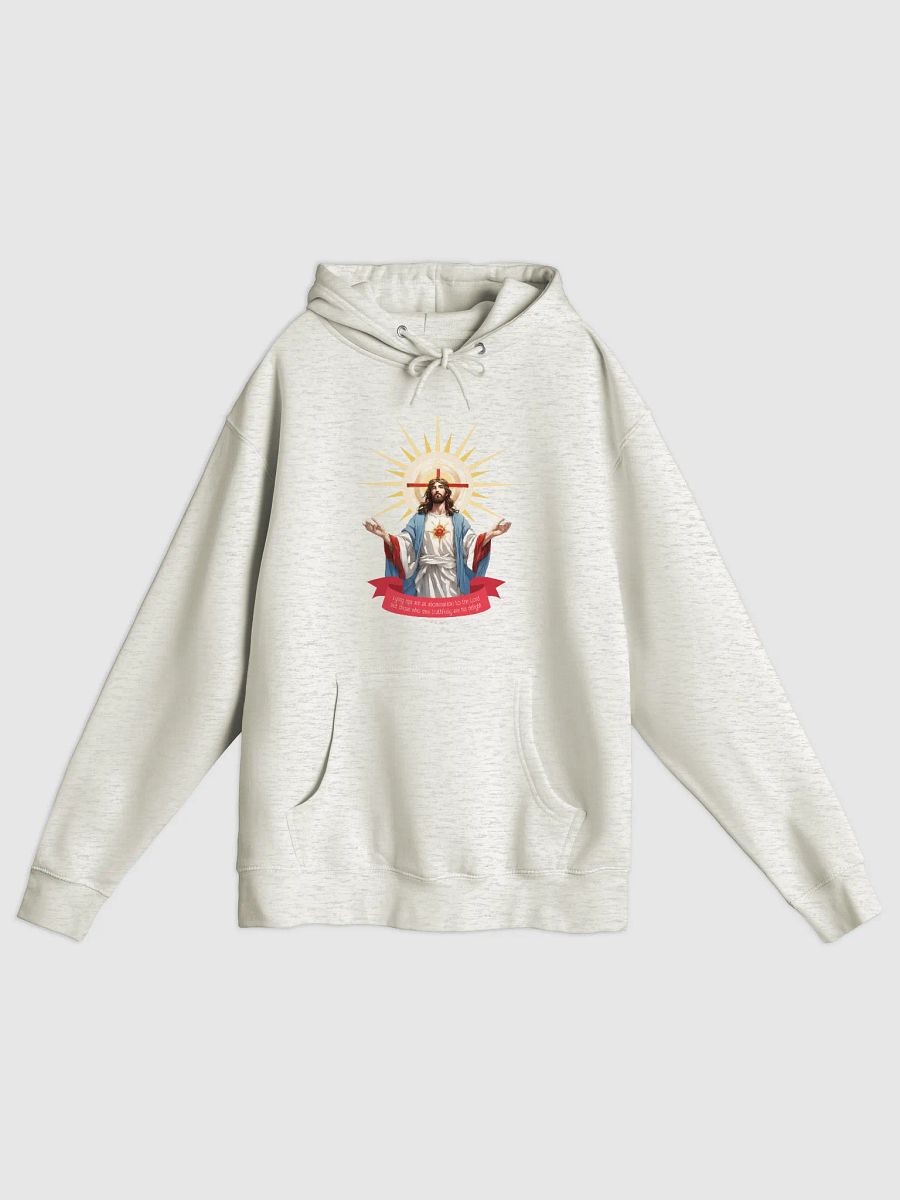 Truth is his delight Hoodie - Oatmeal Heather color product image (1)