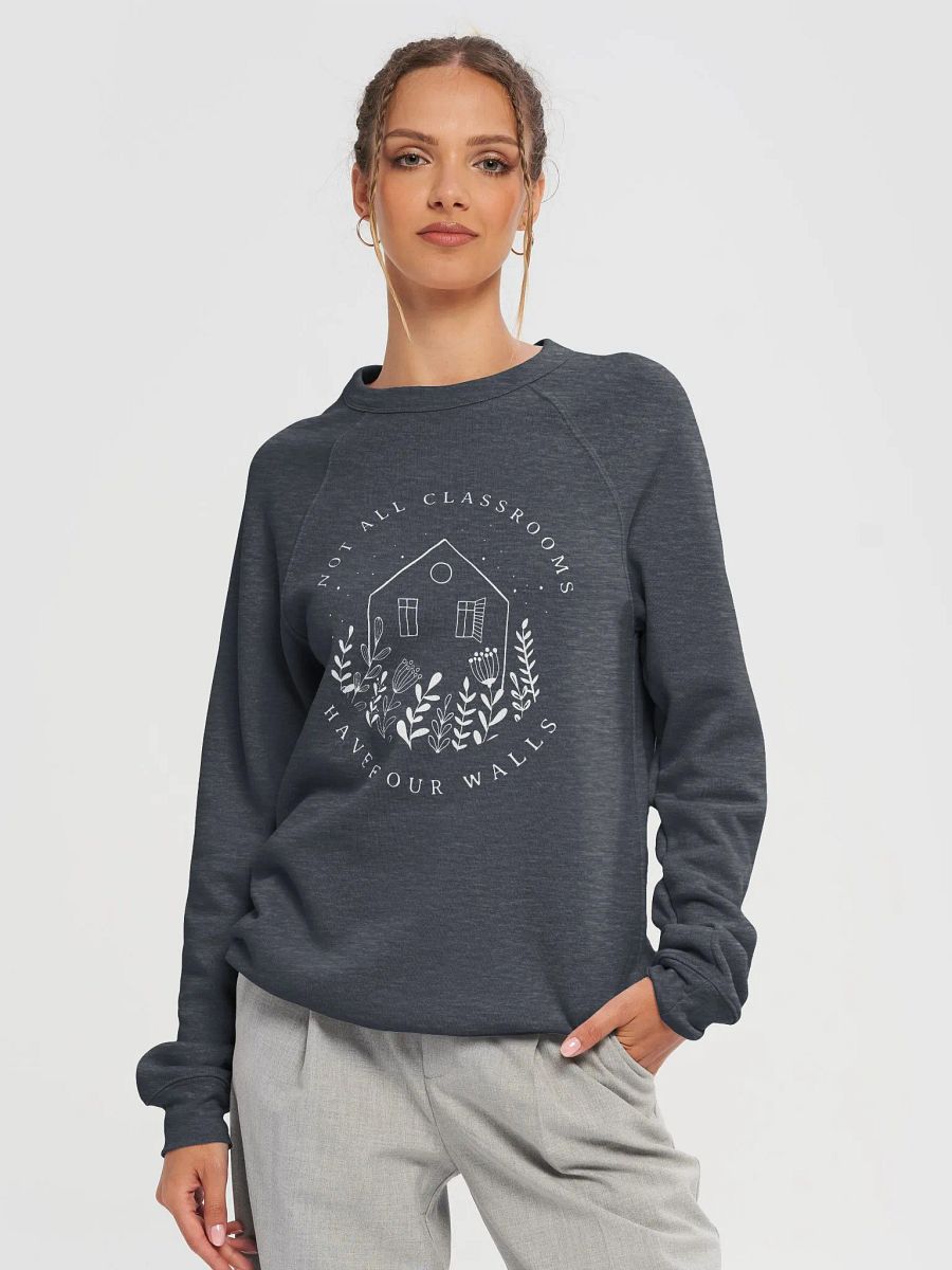 Not All Classrooms Have Four Walls Sponge Fleece Pullover product image (28)