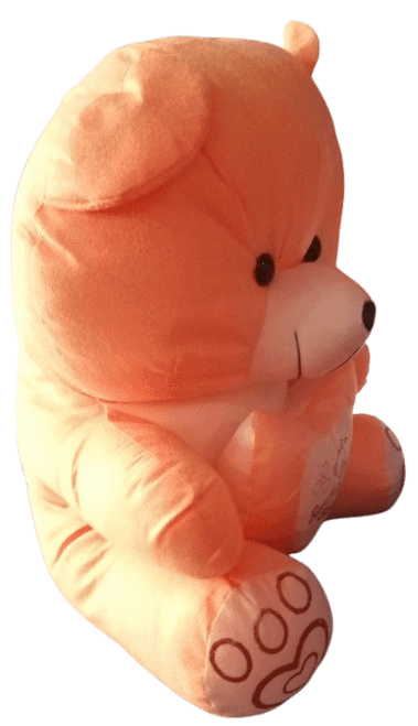 Teddy Bear SOFT TOY product image (3)