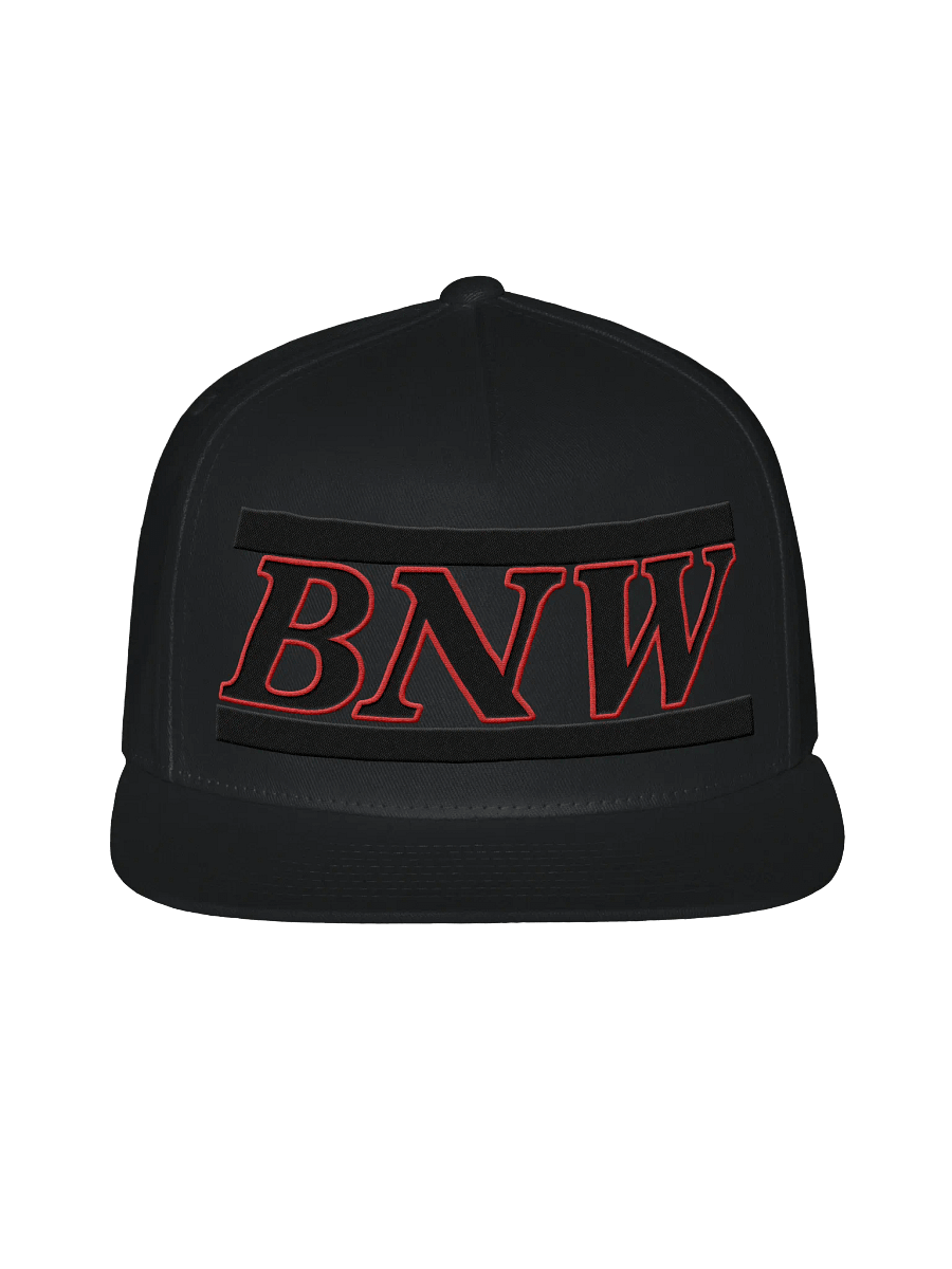 BNW Official Snap-Back Hat product image (1)