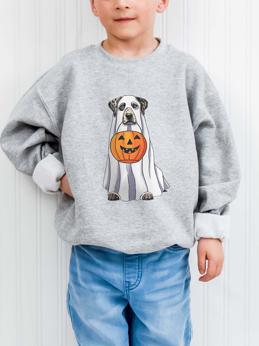 Halloween Catahoula Leopard Dog Youth Sweatshirt product image (6)
