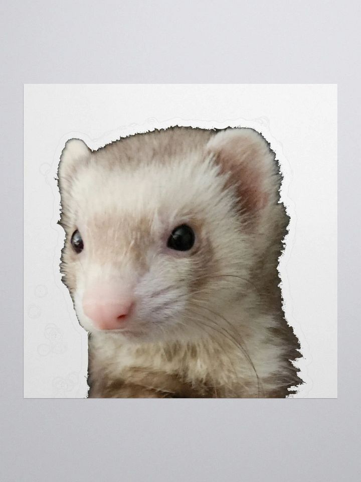 Kiera Sticker product image (2)
