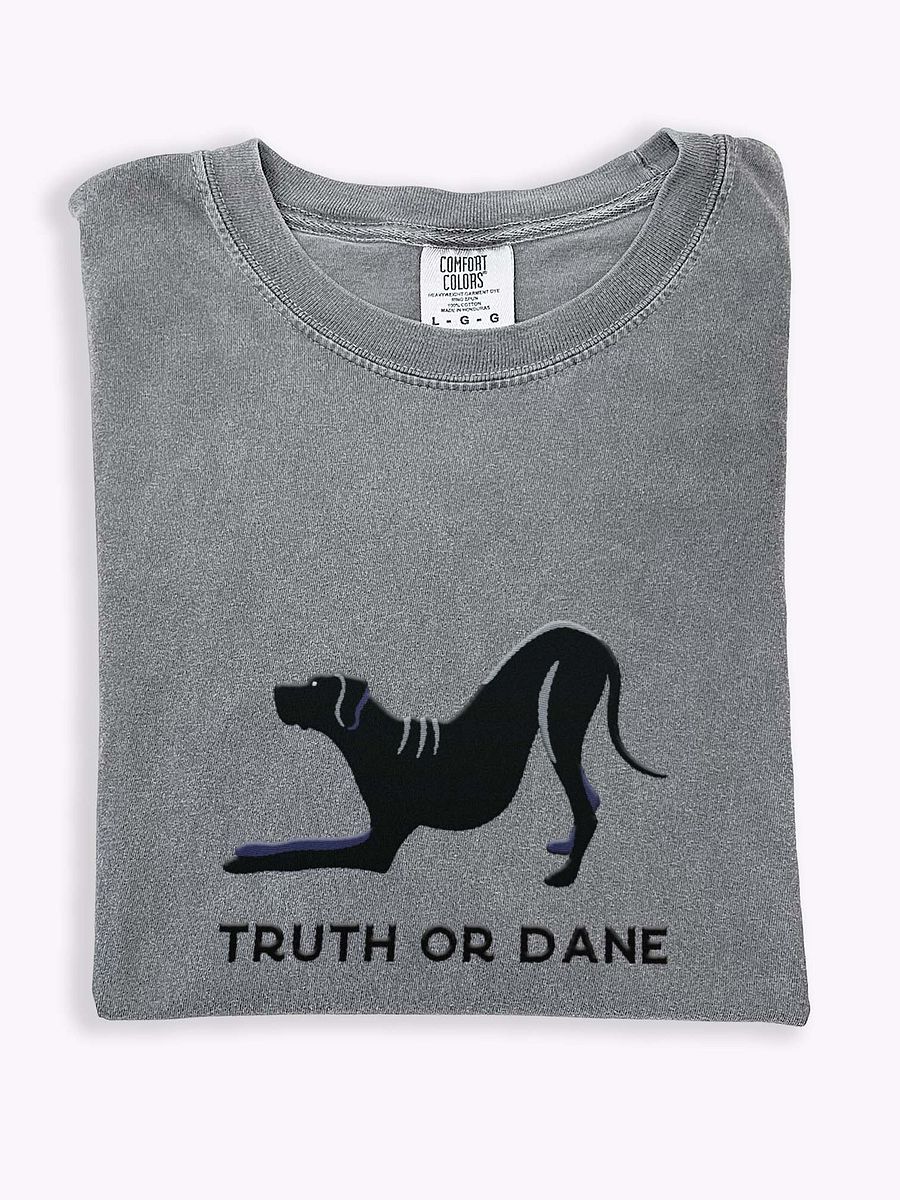 Truth or Dane T-Shirt(Embroidered) of a Great Dane(Black) product image (1)