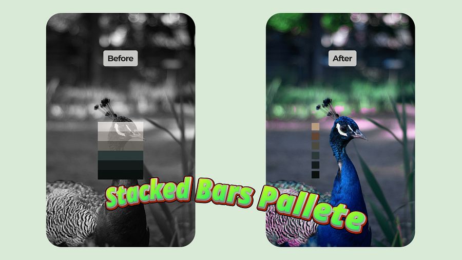 New Before/After Color Palette Templates product image (5)