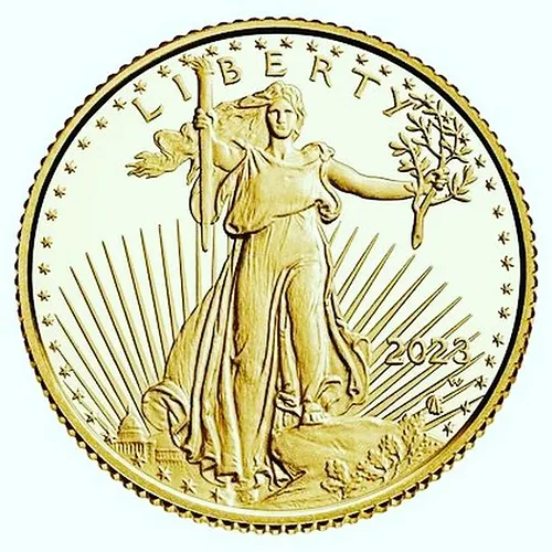 Would you buy this coin?