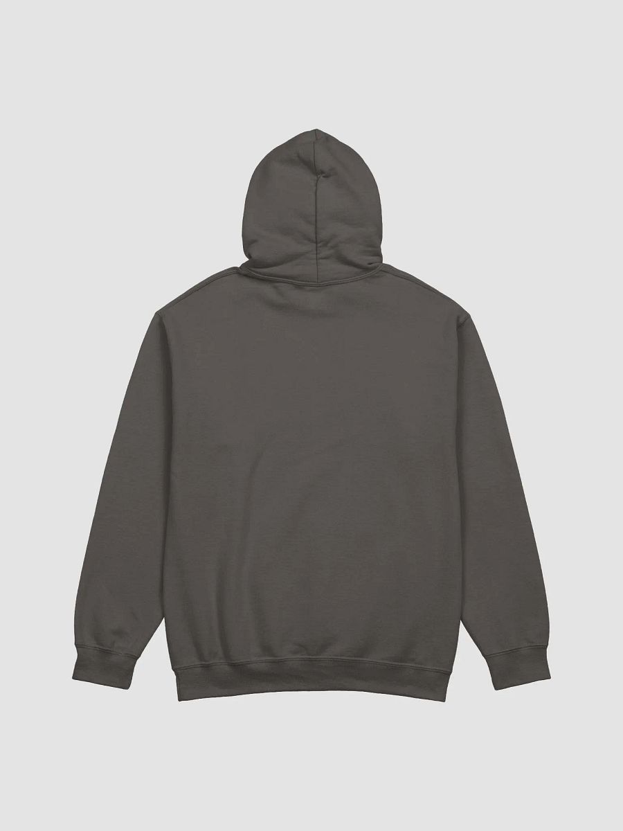 Vivid Visions Hoodie product image (3)