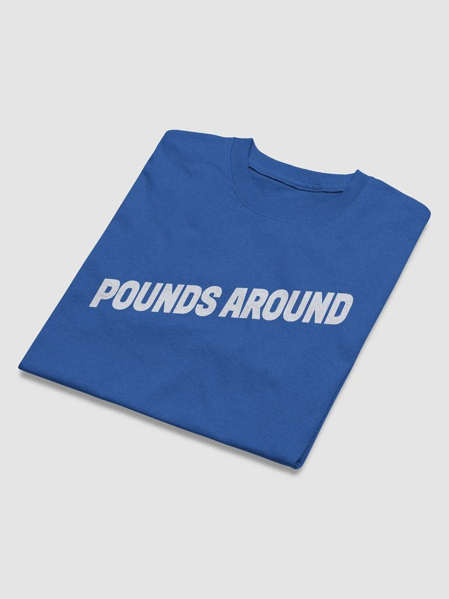POUNDS AROUND BLUE AND WHITE SHIRT product image (4)