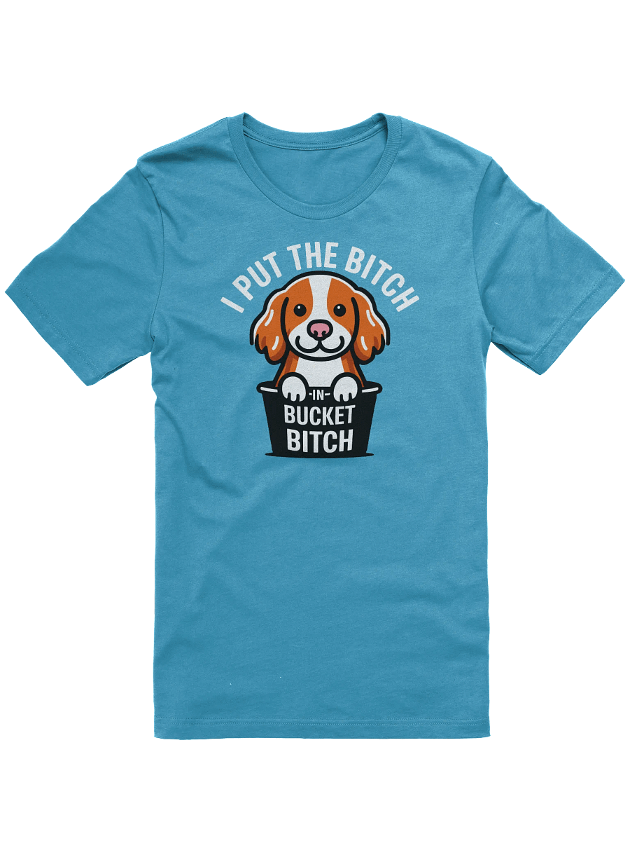I Put The Bitch in Bucket Bitch - Brittany T-Shirt product image (1)
