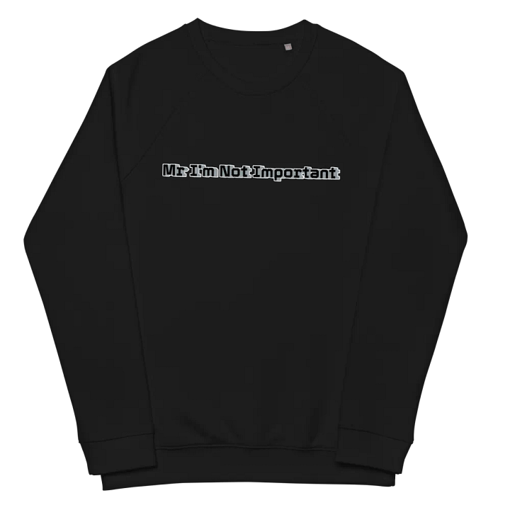 Unisex Organic Raglan Sweatshirt - Mr I'm Not Important product image (2)
