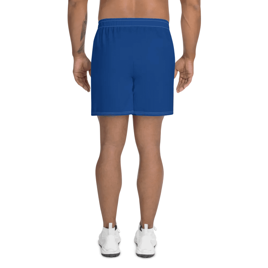 SB3L Blue Shorts product image (4)