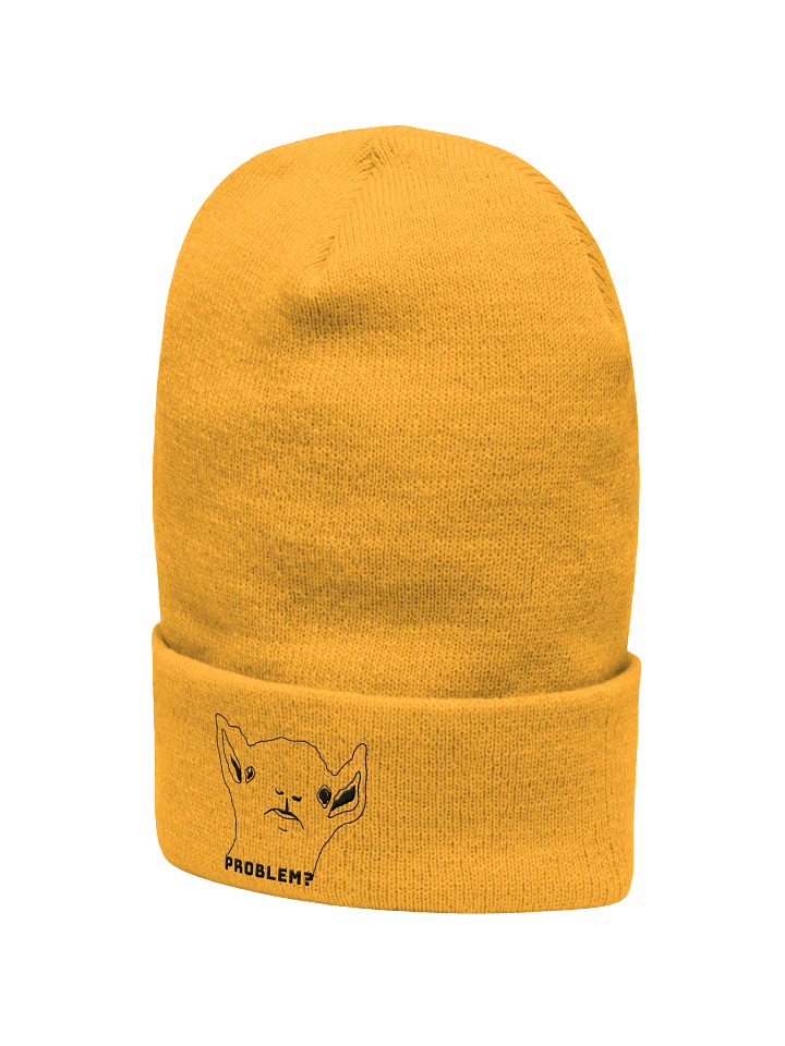 PROBLEM? - CUFFED BEANIE product image (8)