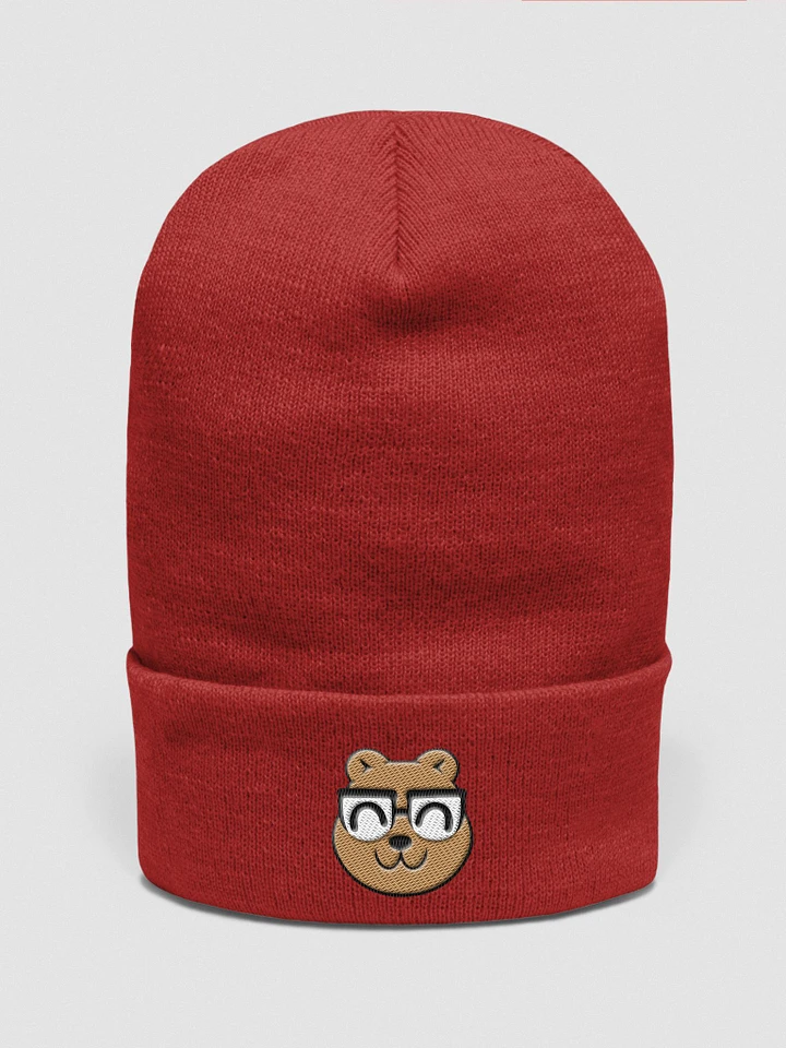 CardlinAudio Beanie product image (1)