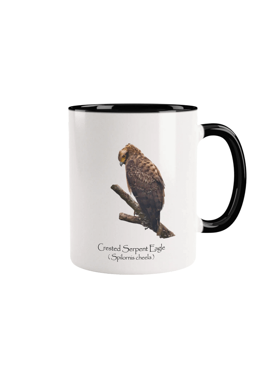 Crested Serpent Eagle mug product image (3)