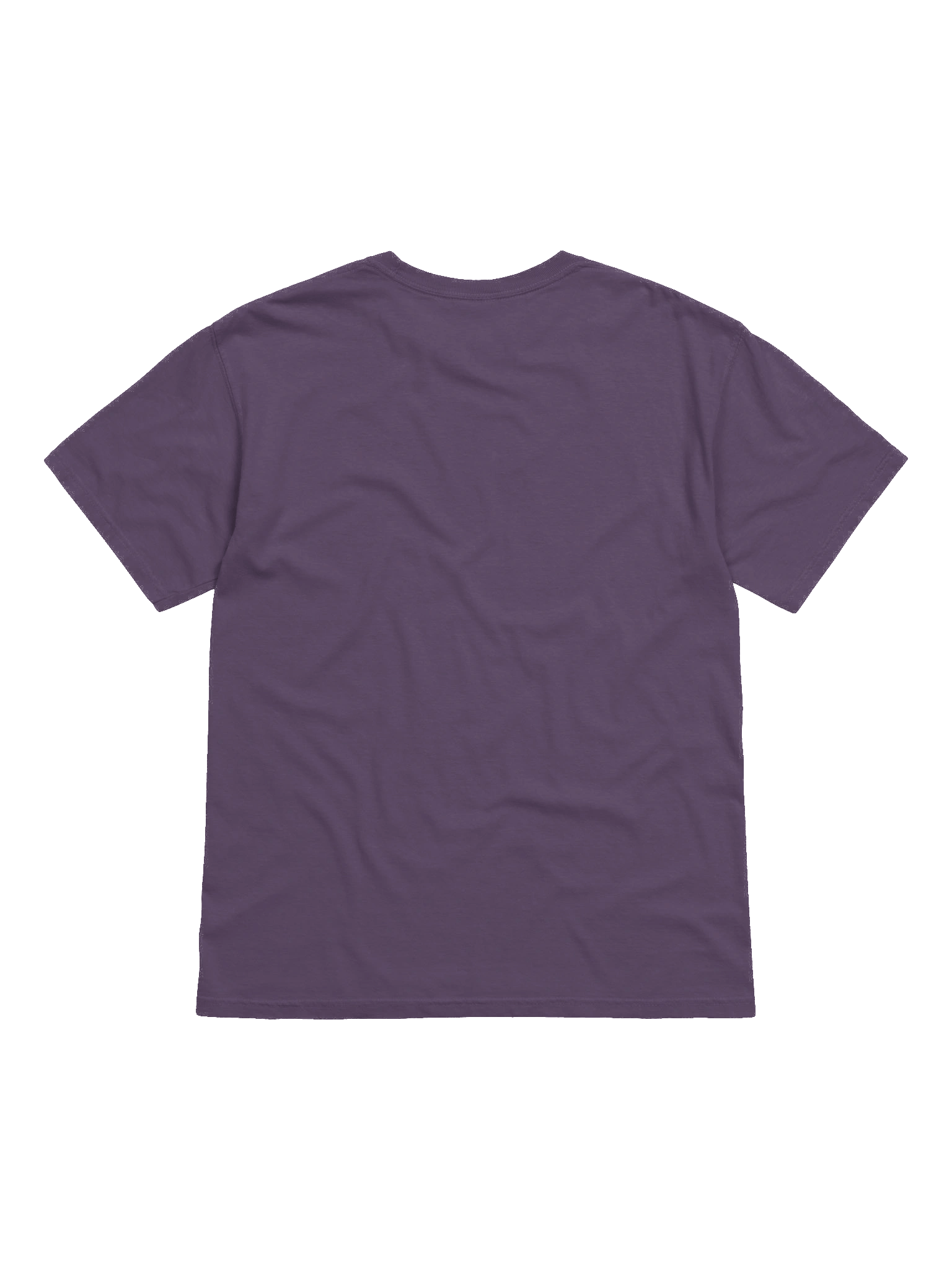 More Than a Parent - I`m Called | Christian Comfort Colors t-shirt| Parkinson Awareness | Gift to Parents product image (40)