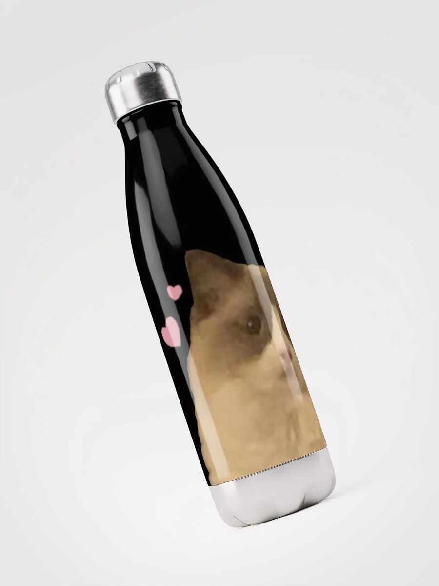Maya Water Bottle product image (3)