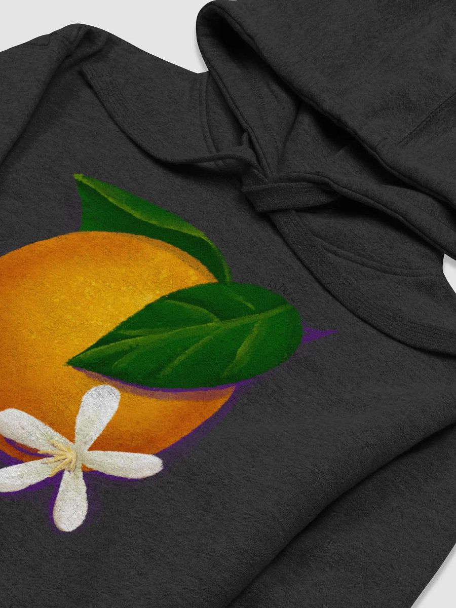 Kyburg60 - Classically Californian Hoodie product image (3)
