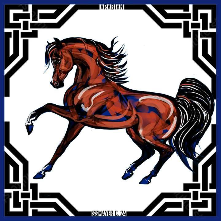 Bay Arab Stallion Embroidered Sweatshirt product image (4)
