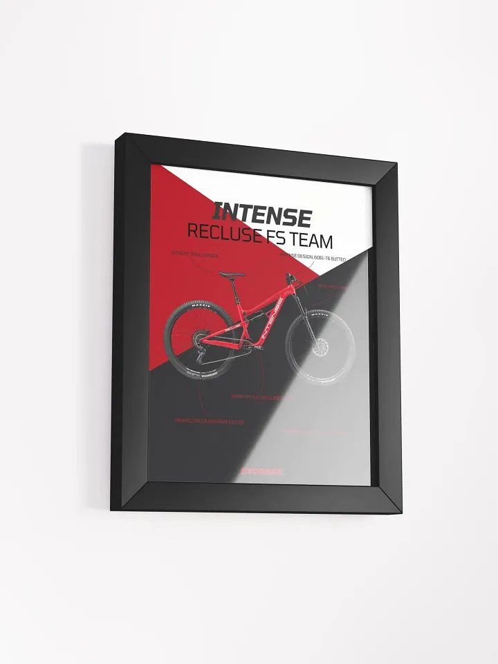 Intense Recluse FS Team Frame product image (10)