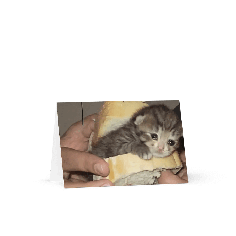 Greeting Card: Meme Cats product image (19)