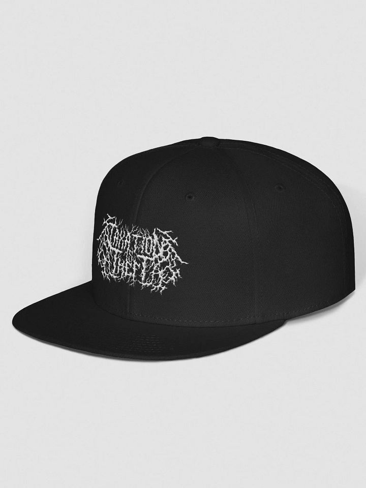 Taxation is Theft Snapback product image (2)