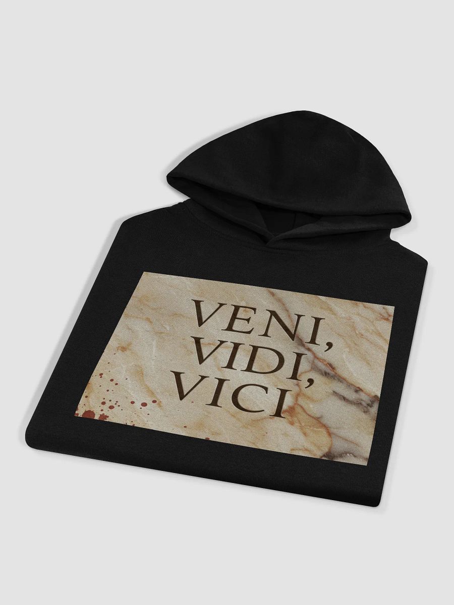 Veni Vidi Vici Oversized Hoodie product image (4)