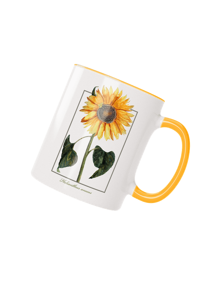 single sunflower (Helianthus anuus) - Ceramic Mug product image (2)