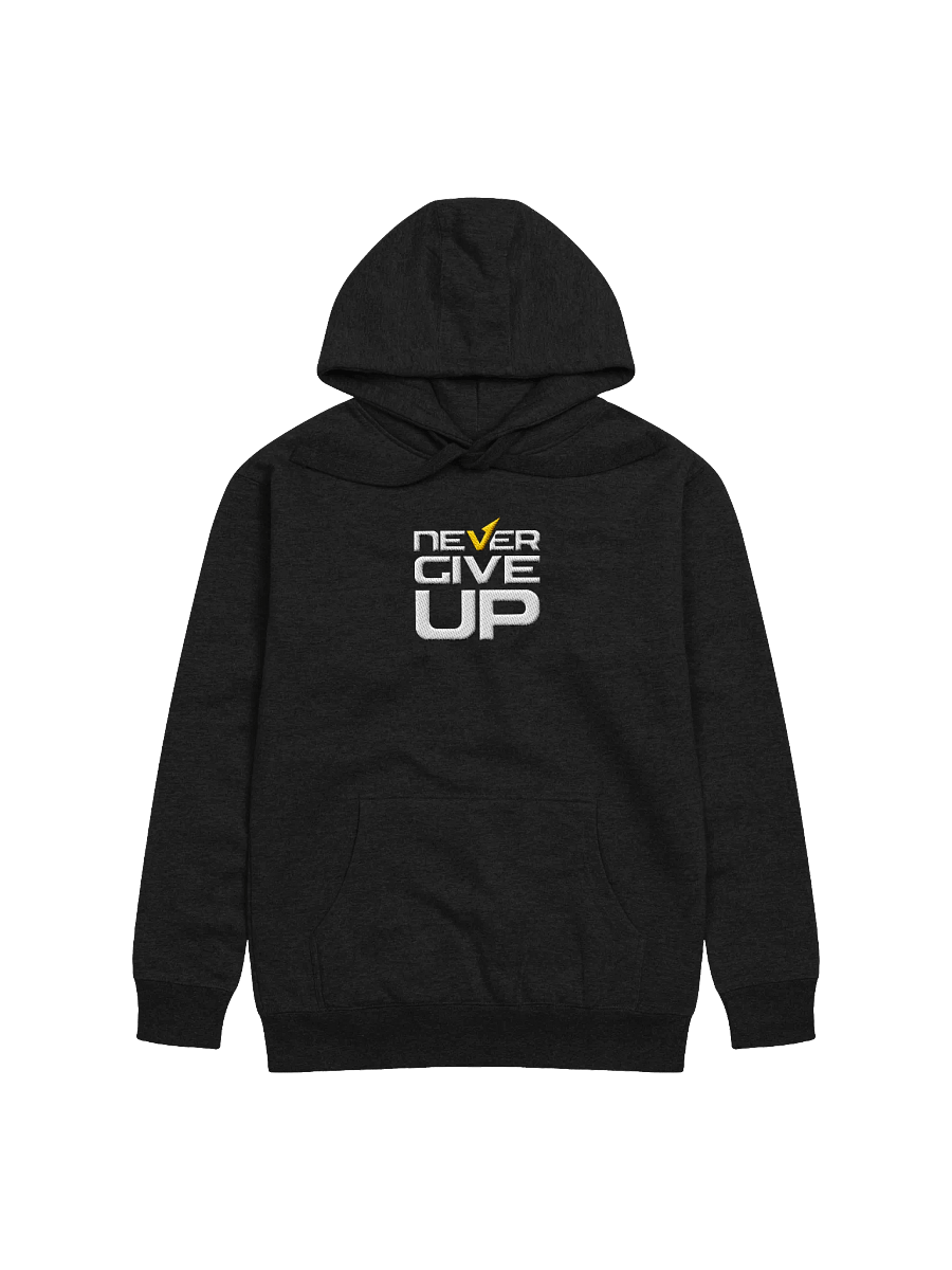 Never Give Up! Center Embroidered Hoodie product image (1)