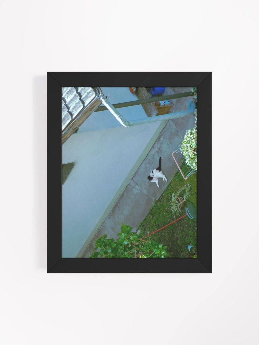 Urban Feline Serenity Poster product image (69)