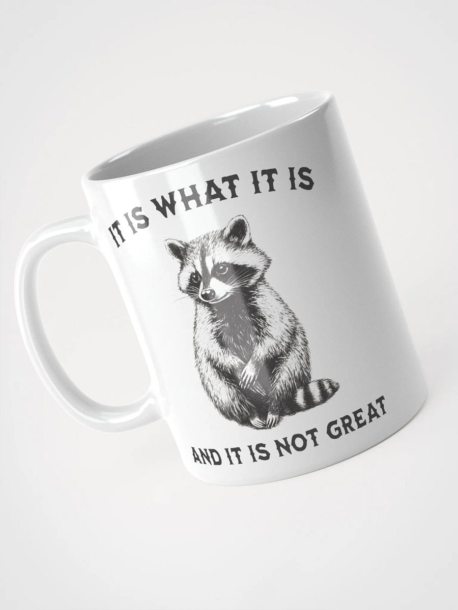 Raccoon It Is What It Is Mug product image (5)