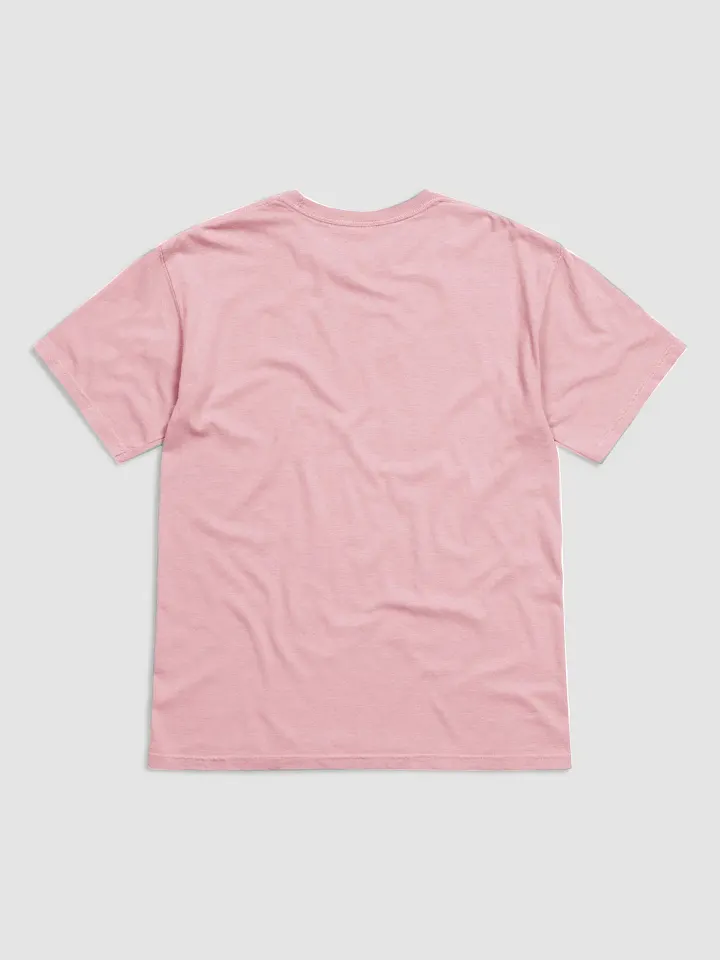 CCW T-Shirt product image (16)