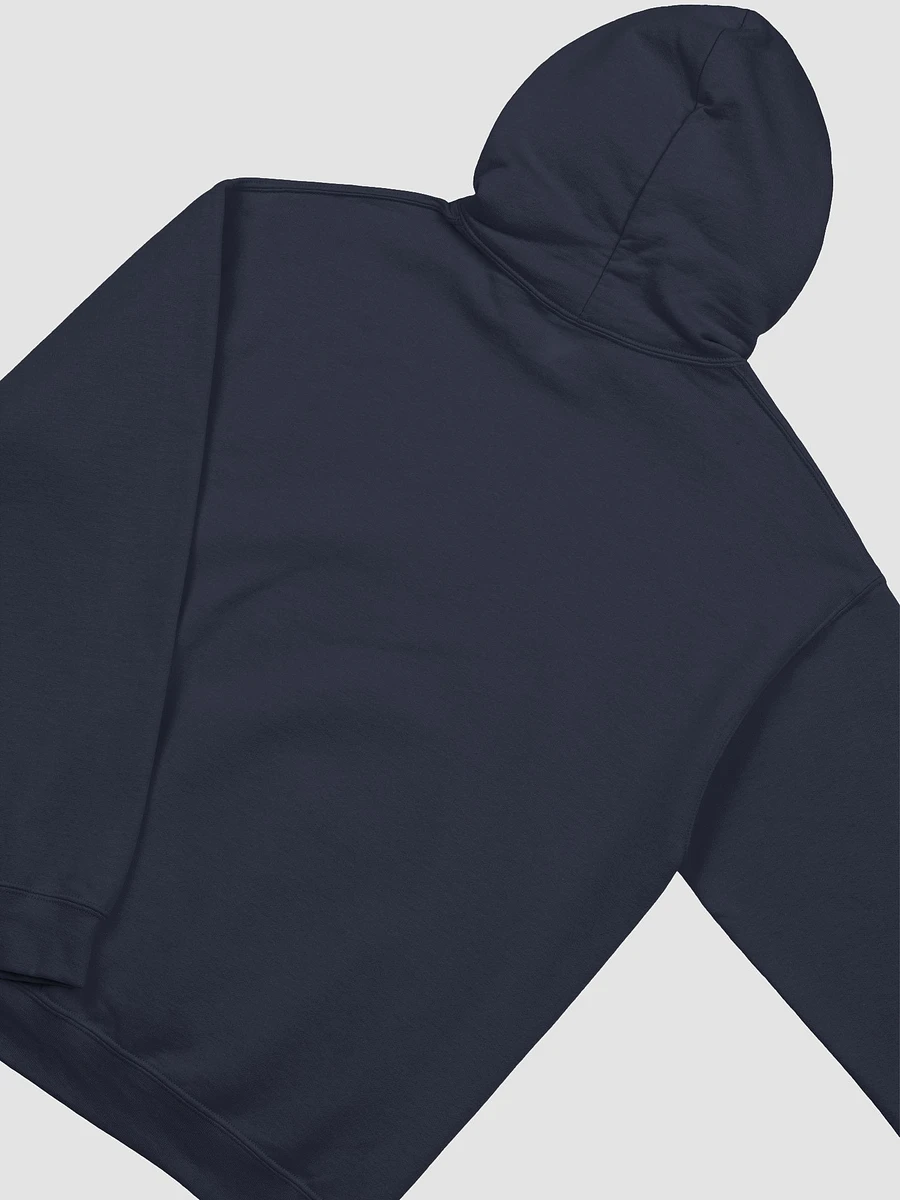 ask me about my host classic hoodie product image (30)