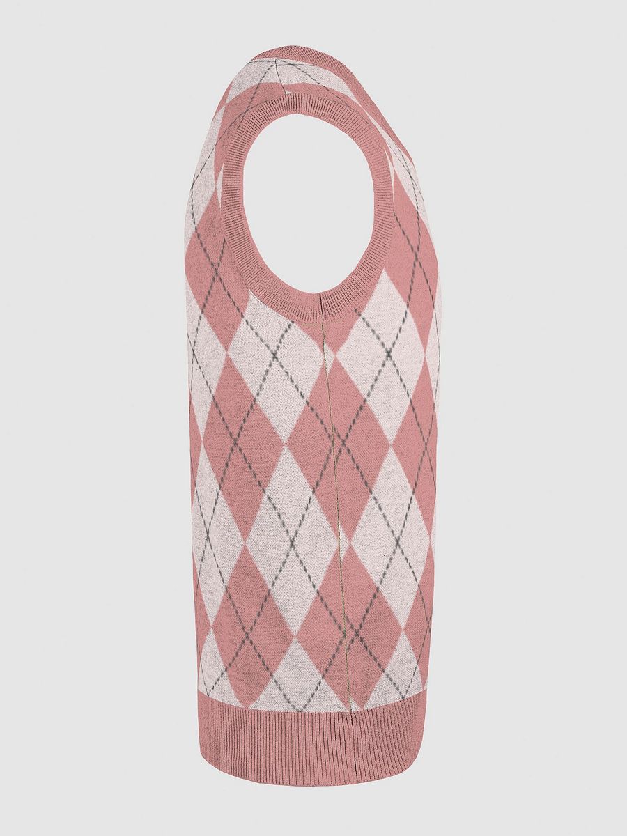 Horns Over Hoops Diamond Blush Knitted V-Neck Vest product image (25)