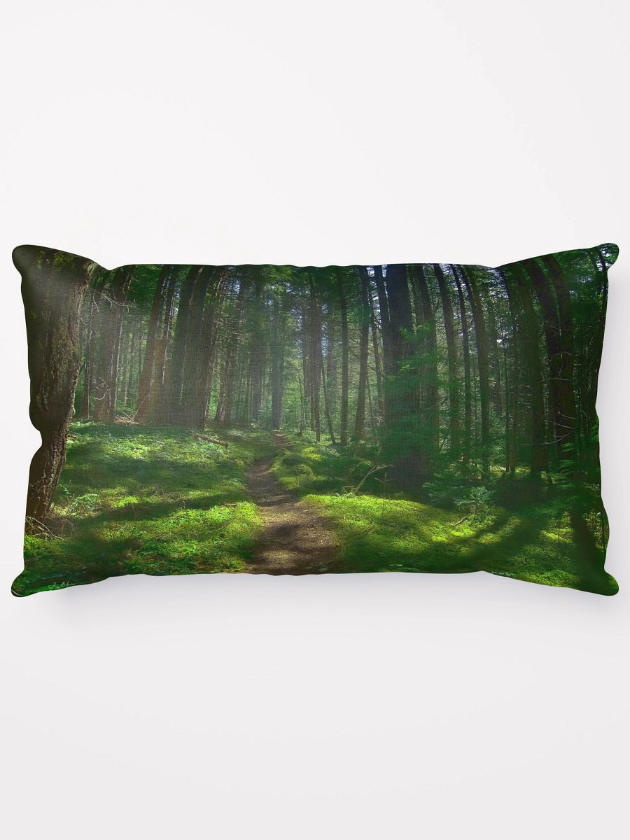 Lower Dungeness Trail Timber sun lighting Pillow product image (13)