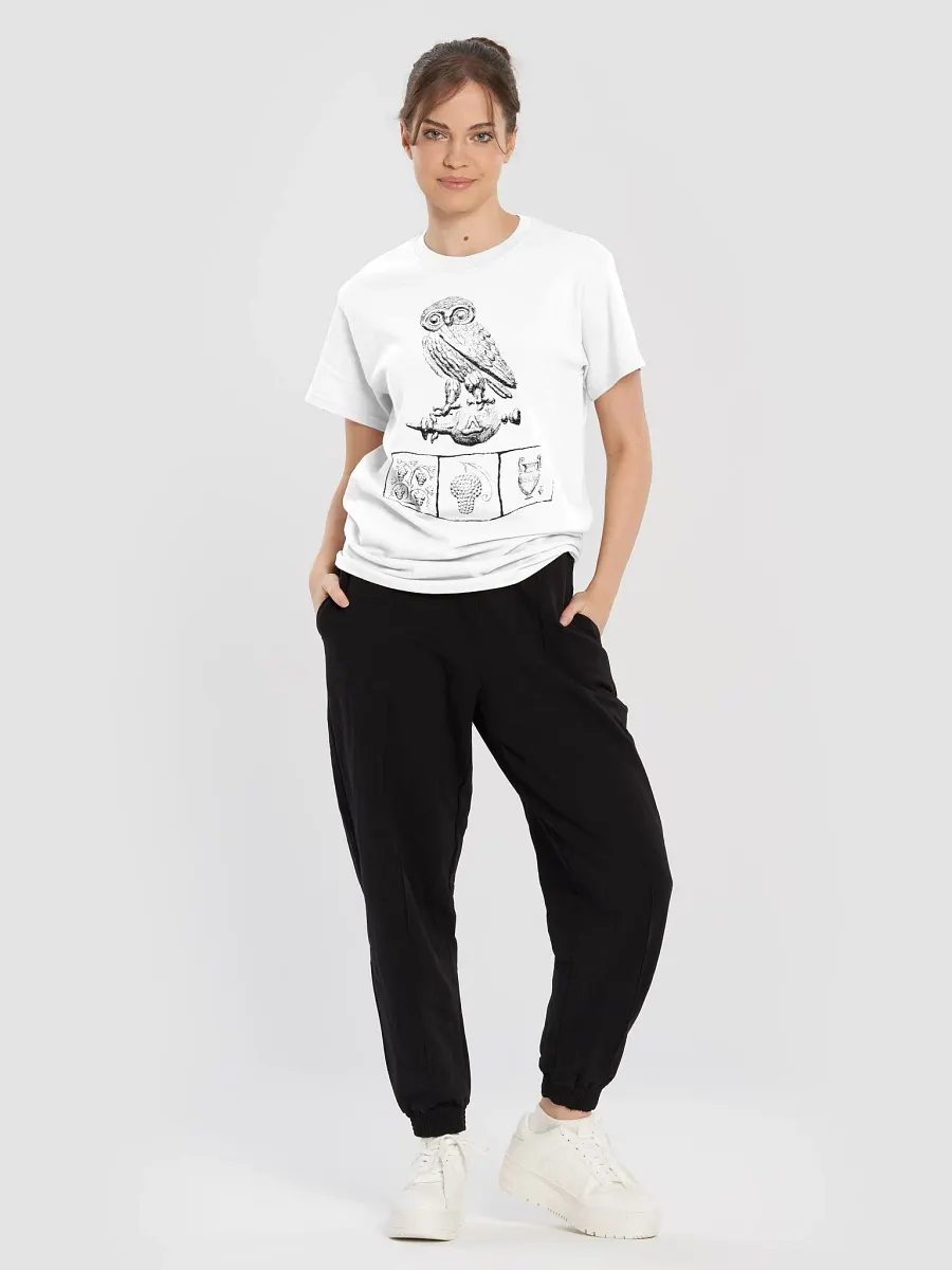 Athenian Owl Ancient Greek Art circa 150 BC, T-Shirt product image (5)