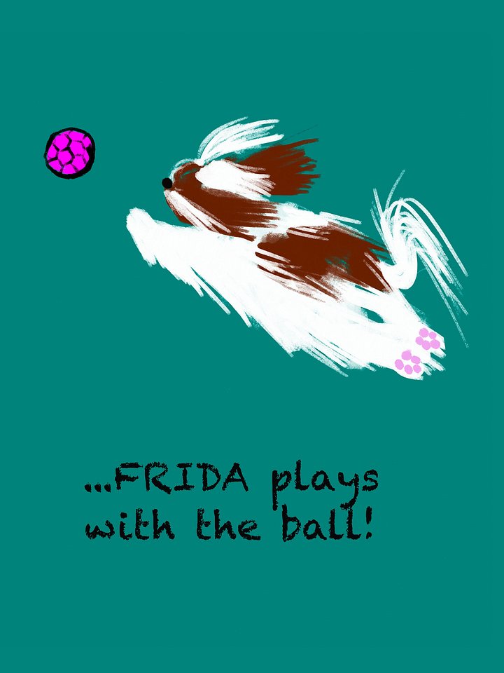 We Are Unique: Living the Shih Tzu Life product image (2)
