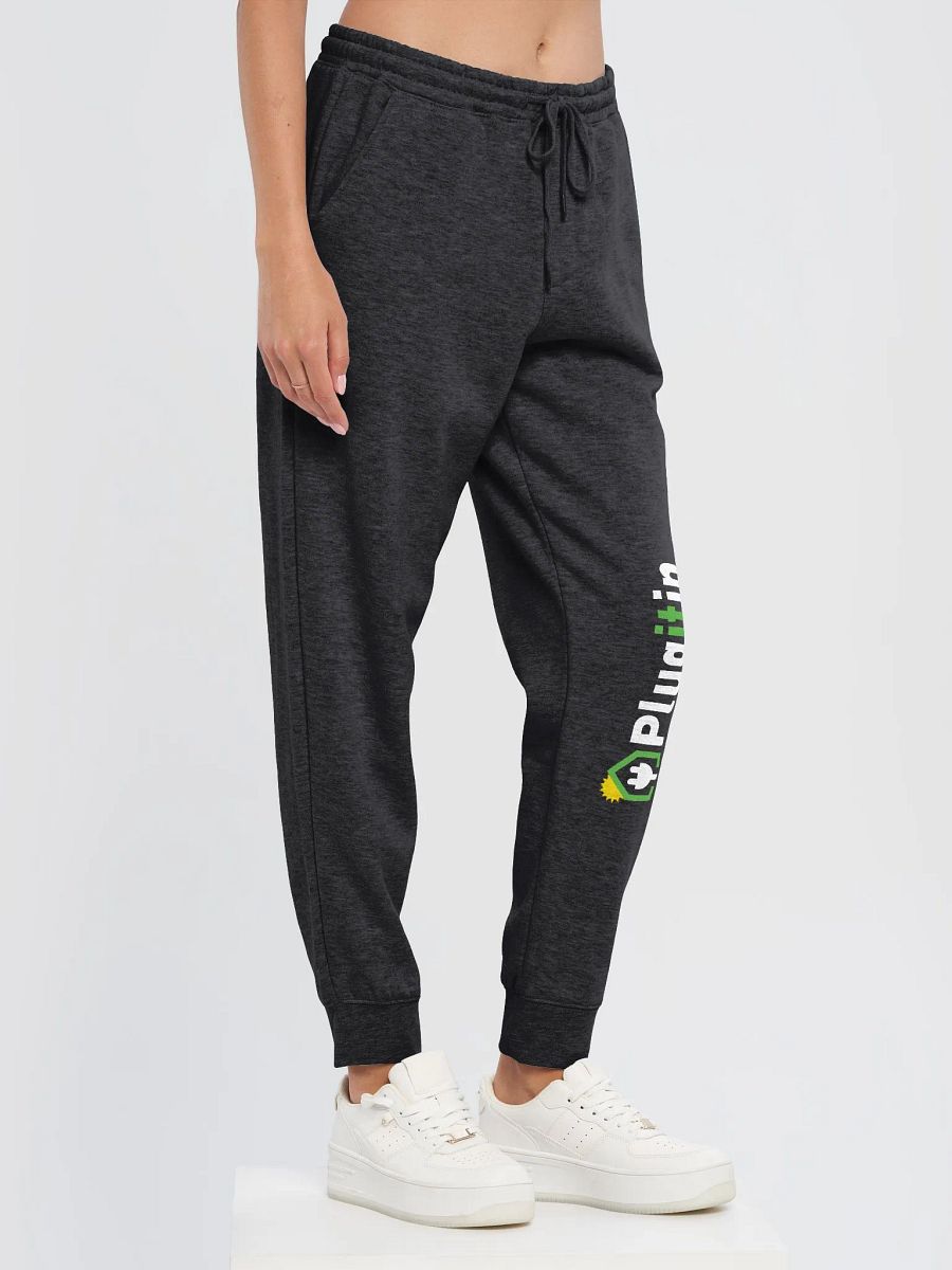 Plug It In Solar High-Quality Midweight Fleece Joggers product image (3)