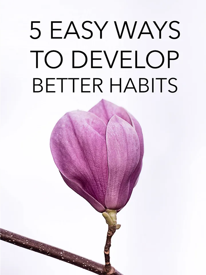 5 Easy Ways To Develop Better Habits product image (1)