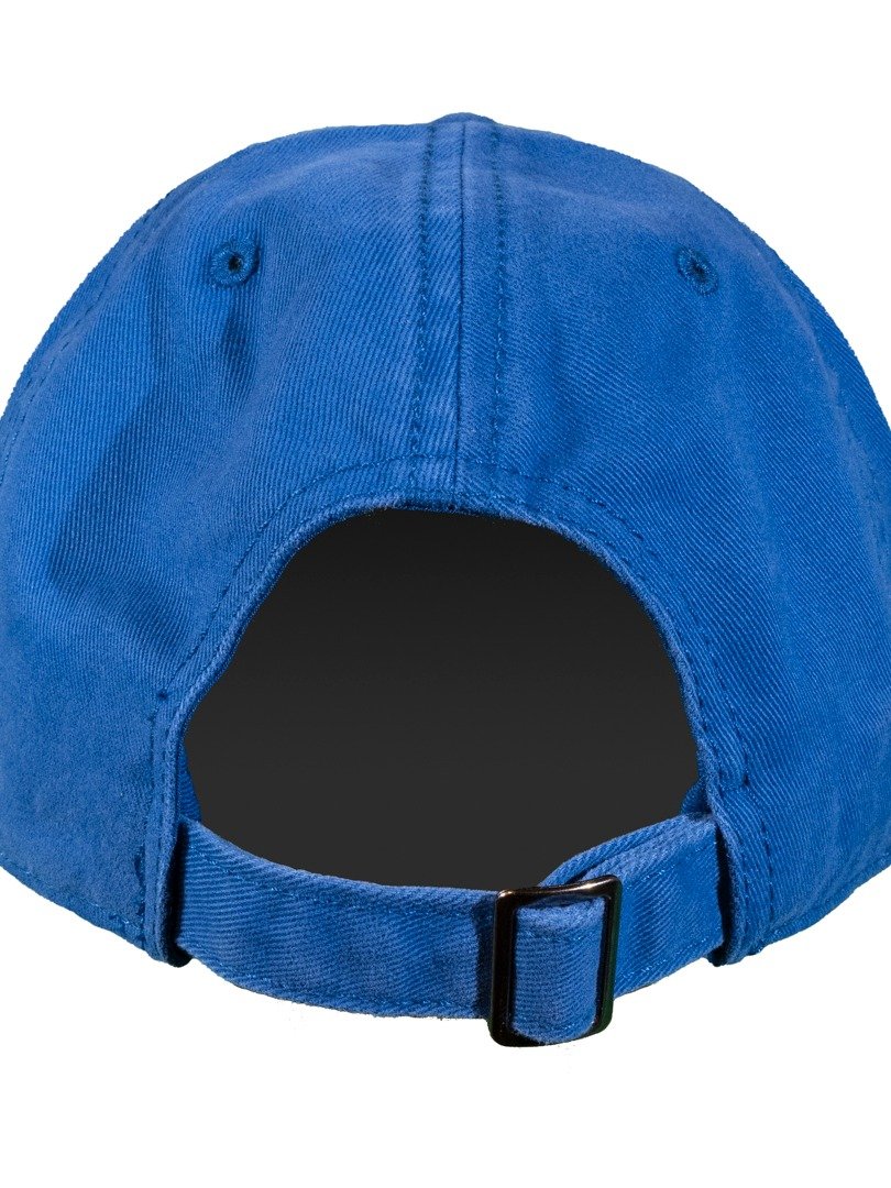 OG Camp Dad Hat product image (3)