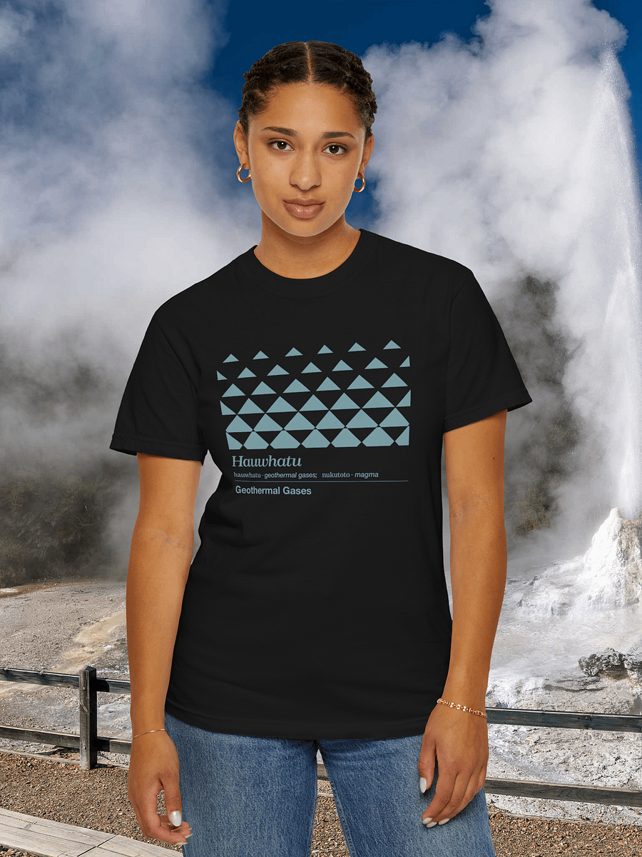 07 Hauwhatu - Geothermal Gases product image (3)