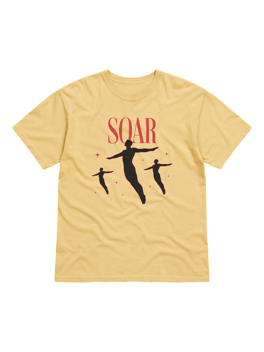 Soar High Comfort: Garment-Dyed Tee product image (34)