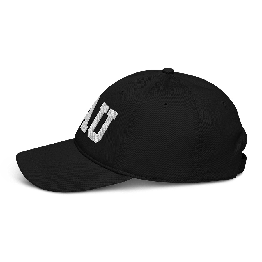 AAU Organic Dad Hat product image (7)