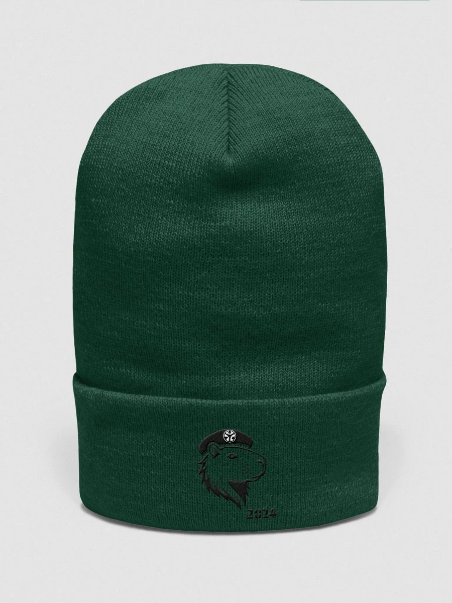 PoKa Classic Beanie - 2024 product image (1)