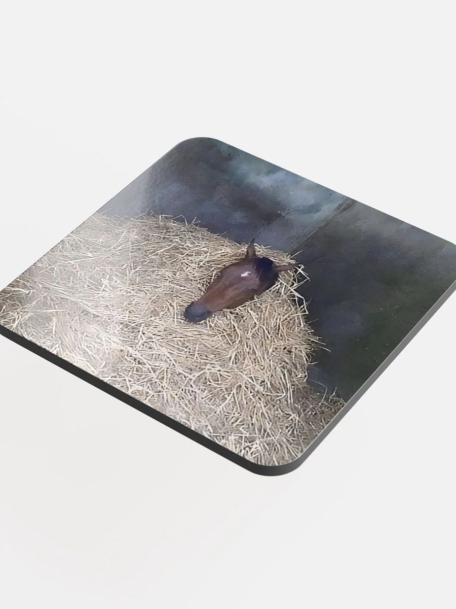 HERC Horse Coaster product image (4)