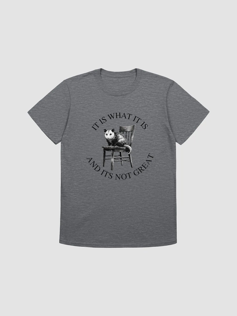 It Is What It Is T-Shirt product image (1)