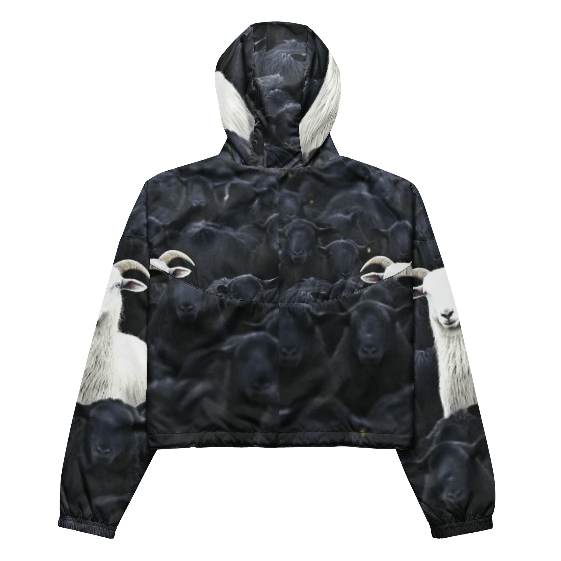 Stand Out in Style Women's Windbreaker product image (3)