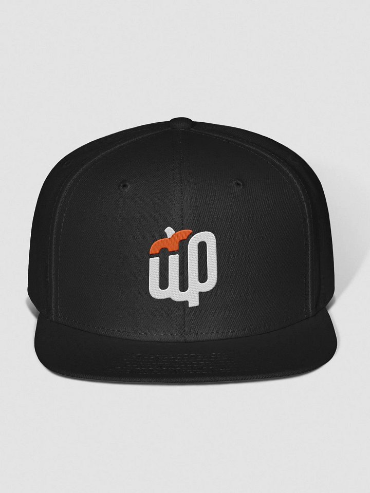 WebbyPumpkin Logo Wool Snapback product image (1)
