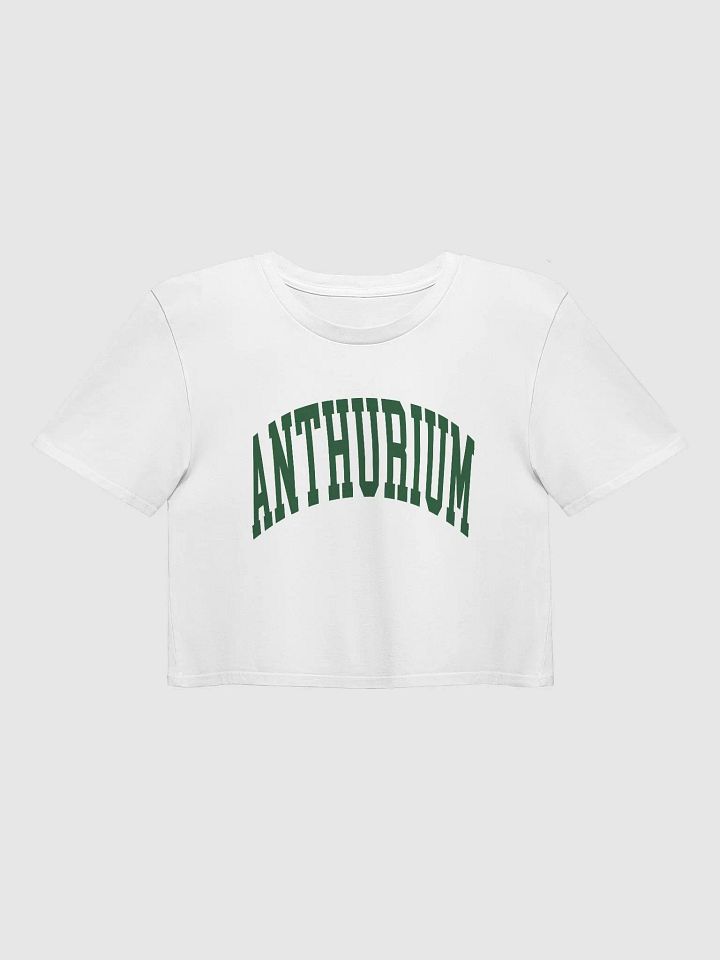 ANTHURIUM varsity crop top product image (9)