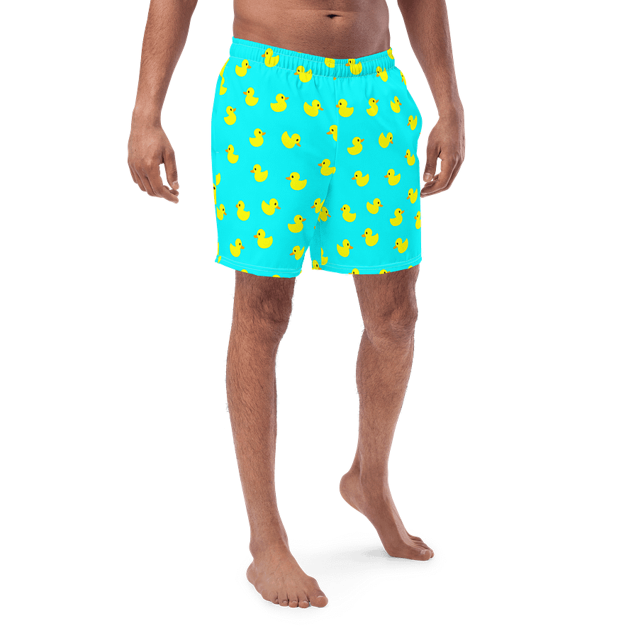 Duck product image (1)