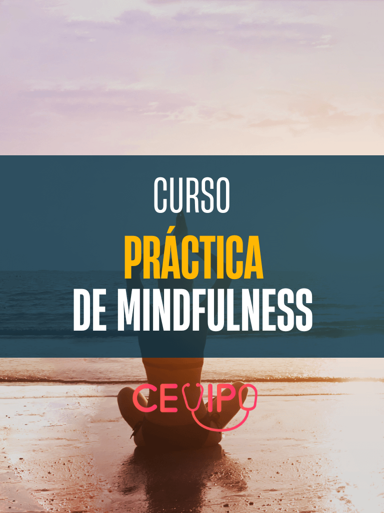 Curso Práctica de Mindfulness product image (1)